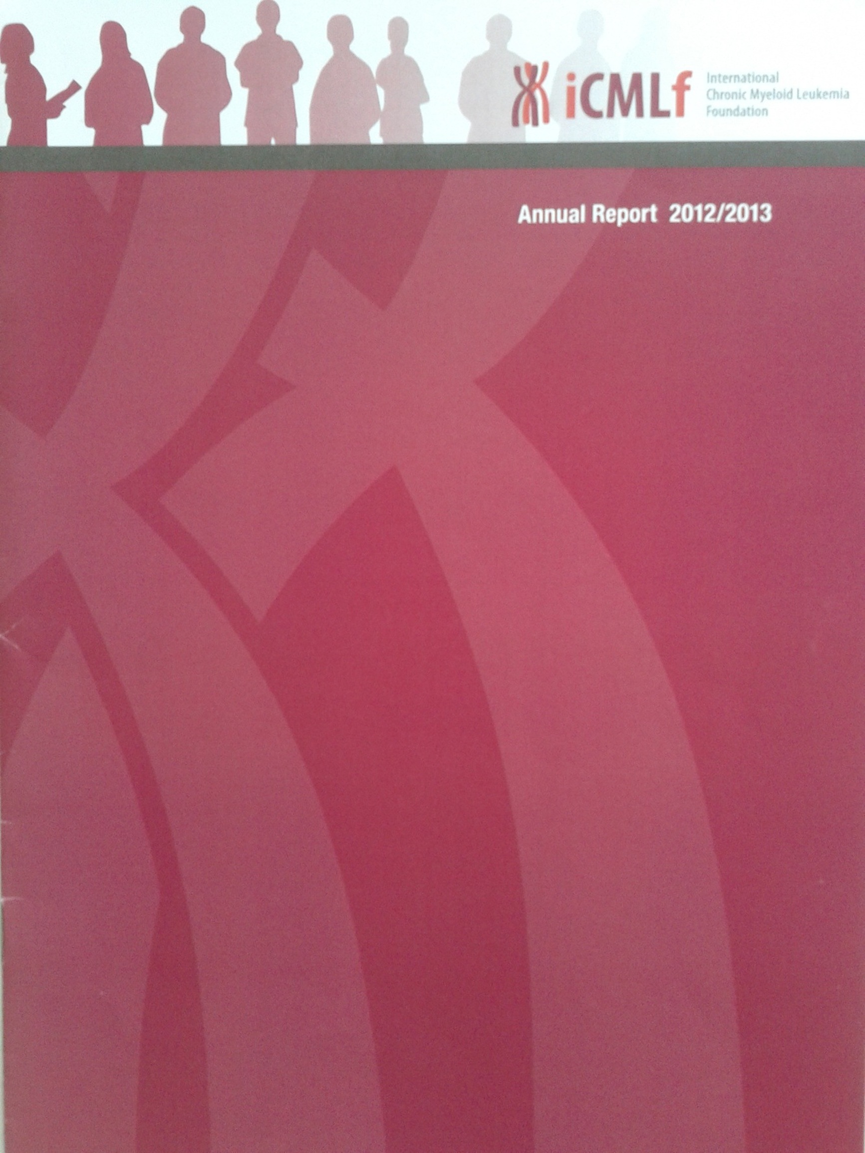Picture Annual Report 2013