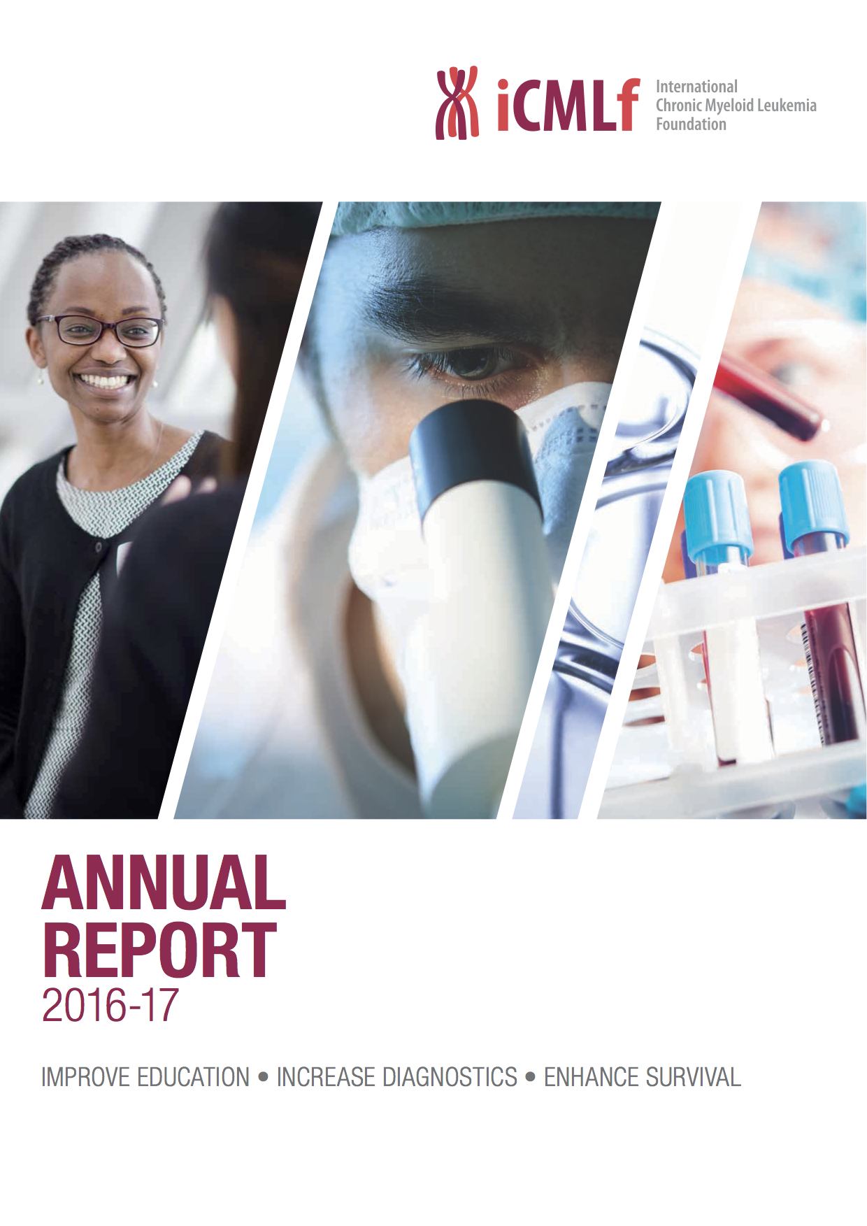 Annual Report 2016 17 LR Cover