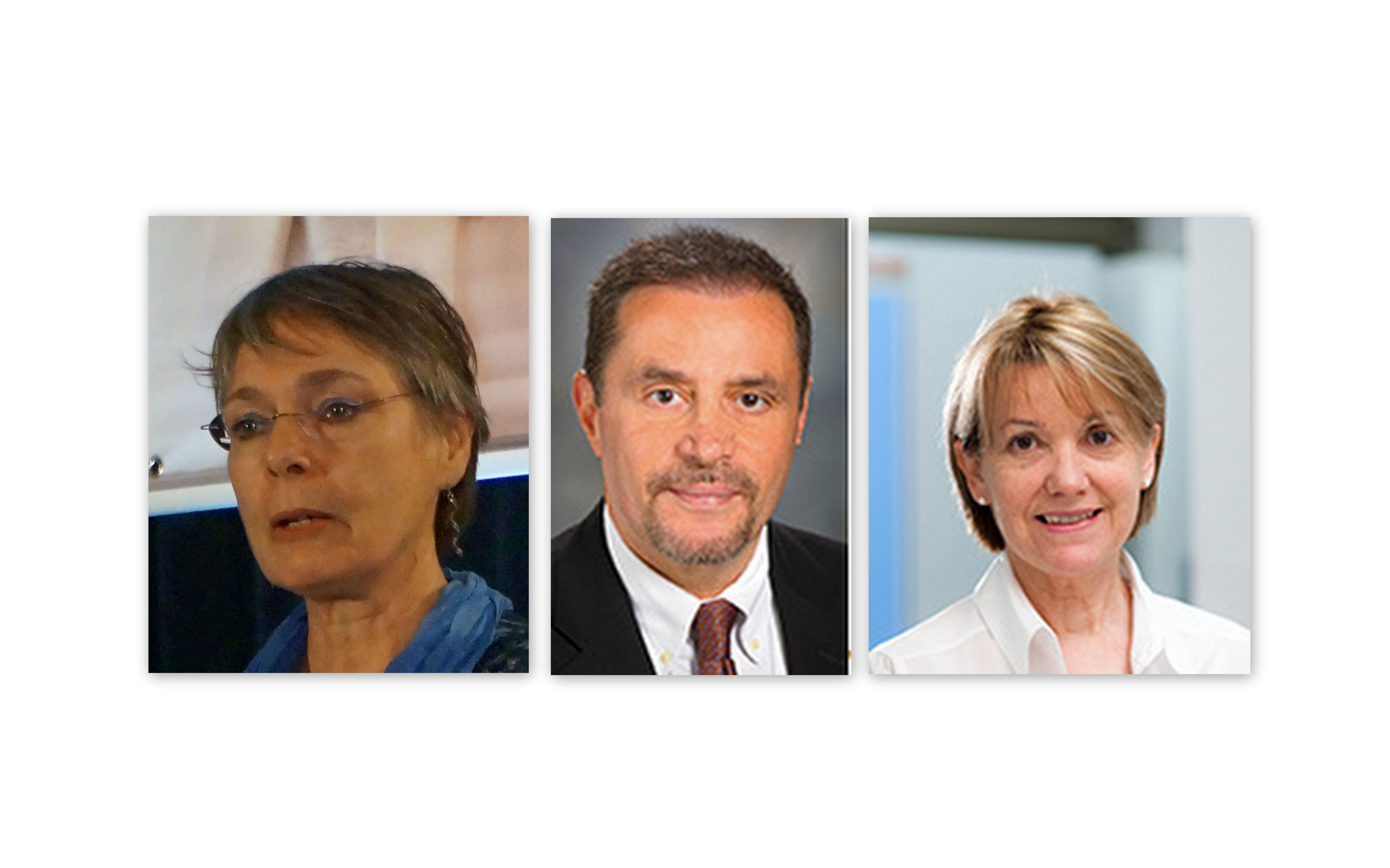 Collage 2016 Keynotes Prizes