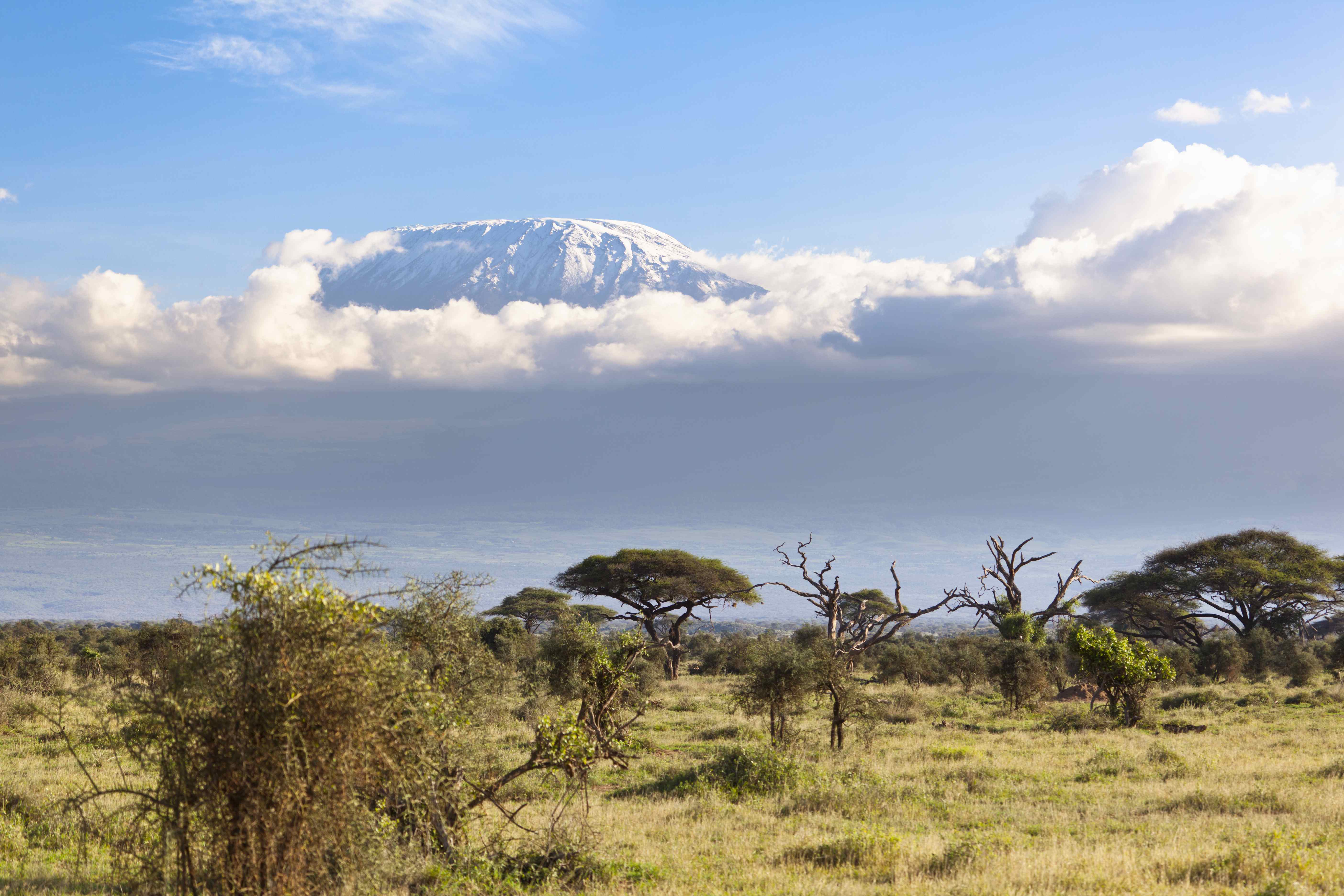 iCMLf HeroImage Kili2019 Kopie