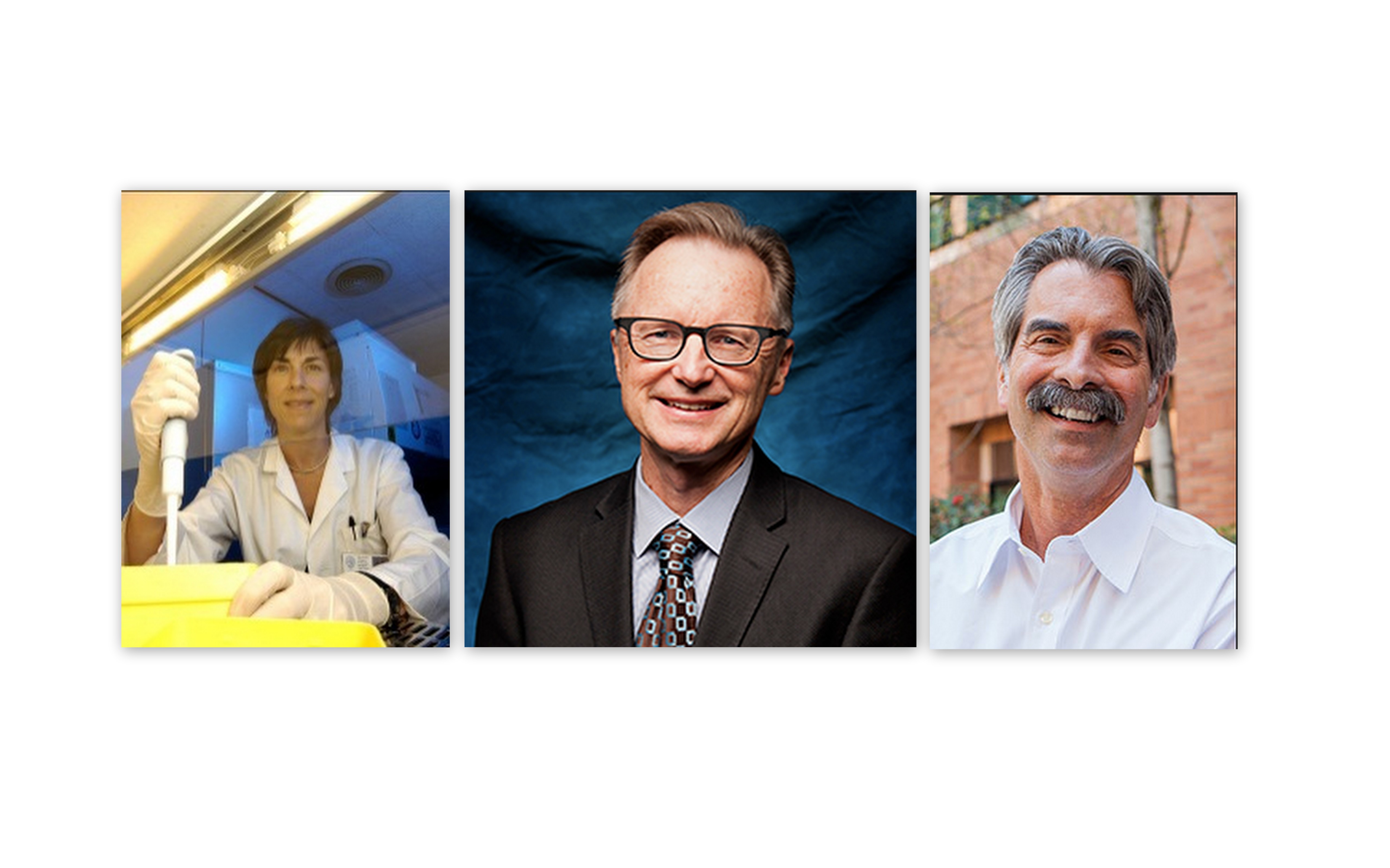 iCMLf Prize recipients 2017