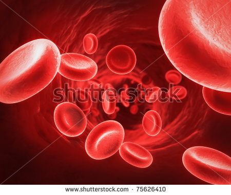 stock photo red blood cells 75626410